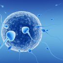 운정서울여성의원 이미지