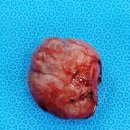 한라동물병원 이미지