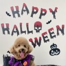 르시앙 수성점 이미지