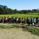 능실초등학교 이미지