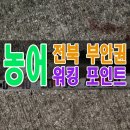 마동 북측 | 전북 부안 변산 도보 워킹 농어낚시 포인트 총정리