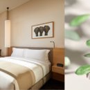 스테이 이브 이미지