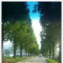 슬로시티삼지내마을 이미지