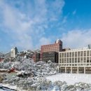 비젼(229) 이미지