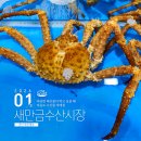 (주)군산종합모터스 | [전북 군산] 다양한 해산물이 먹고 싶을 때, 비응도 수산물 직매장 회센터, 새만금종합수산시장