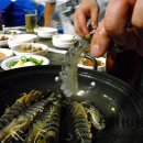 목포세발낙지 이미지