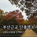 분성로261번길 | 부산근교 단풍명소 김해수로왕릉 방문후기