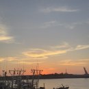 미원닭집 이미지