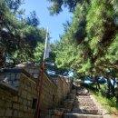 수원-1948 이미지