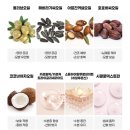 그루밍140 | 퓨어프렌즈 고양이미스트 실사용 후기 추천