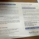 청호골송어 이미지