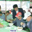 거북이과자점 이미지