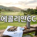 이비티에스협동조합 핵심 쟁점 비교와 가입 전 확인 리스크 분석
