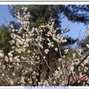 진주 두문리 이정표석 이미지