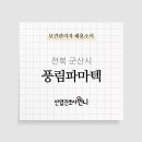 (주)풍림파마텍