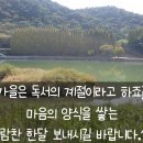 행복한잉어 이미지