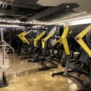 트루그릿 피트니스 이미지