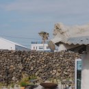 슬로우그로우라이프 이미지