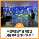 국립부산과학관 특별전 &lt;각양각색 컬러나라&gt; 후기