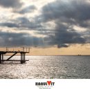 바다햇살 이미지