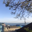 엄지당구장 이미지