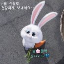 대구김호증모가발.가발수선.숱보강