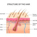 나인의원 이미지