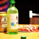 도토리 캠핑장 네이버블로그