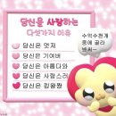 상미 이미지