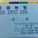 샘골장어 이미지