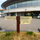 군산CC | 군산cc 후기, KPGA 토너먼트 코스 라운딩, 벙커밭에서 제대로 느낀 대회 코스의 품격