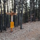 구봉산 어사길 이미지