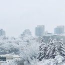 서래로10길 26 (6) | [서래마을 맛집] 현지인 추천, 단골 고깃집 소개. 우참판, 차돌가, 도야진가 등.