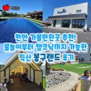 뽀바랜드 | 천안가볼만한곳 추천! 물놀이부터 캠크닉까지 가능한 직산 봉구랜드 후기