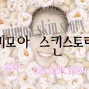 스킨스토리 네이버블로그