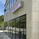 입암로 | 강원도 스냅 “비엔토 스튜디오” 4월 말 야외 + 실내 촬영 후기 (with. 진희이모, 먼데이녹, 보떼헤르츠)