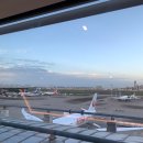 참치사한연어 | 도쿄 하네다공항 라운지(TIAT Lounge)& 공항구경후기