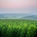 자연장지 이미지