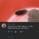 다인케미칼 | 20240928 린킨파크 내한 후기