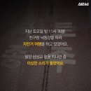 자전거여행 중 구조된 밀양 유기견 남매를 위해 조금만 도와줘요 여시들 이미지