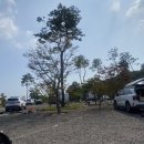 말보로맨 오토캠핑장 이미지