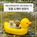 또봉이통닭 장흥유원지점 | 장흥 애견동반 식당 추천 도깨비방망이｜서울근교애견동반계곡 백숙 맛집