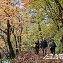 대현2리 이미지