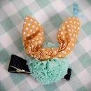 더에스헤어 이미지