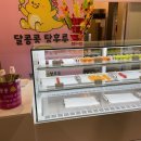 달콩콩탕후루