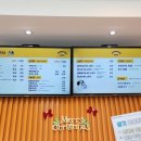 펫프닝 타운 이미지