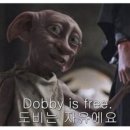 도비의선물 이미지