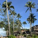 주식회사 호텔그랜드베이 | [푸꾸옥 여행] 푸꾸옥 그랜드오션베이 리조트 솔직 후기