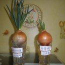 엄마한의원 이미지