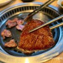 장수농장 티스토리